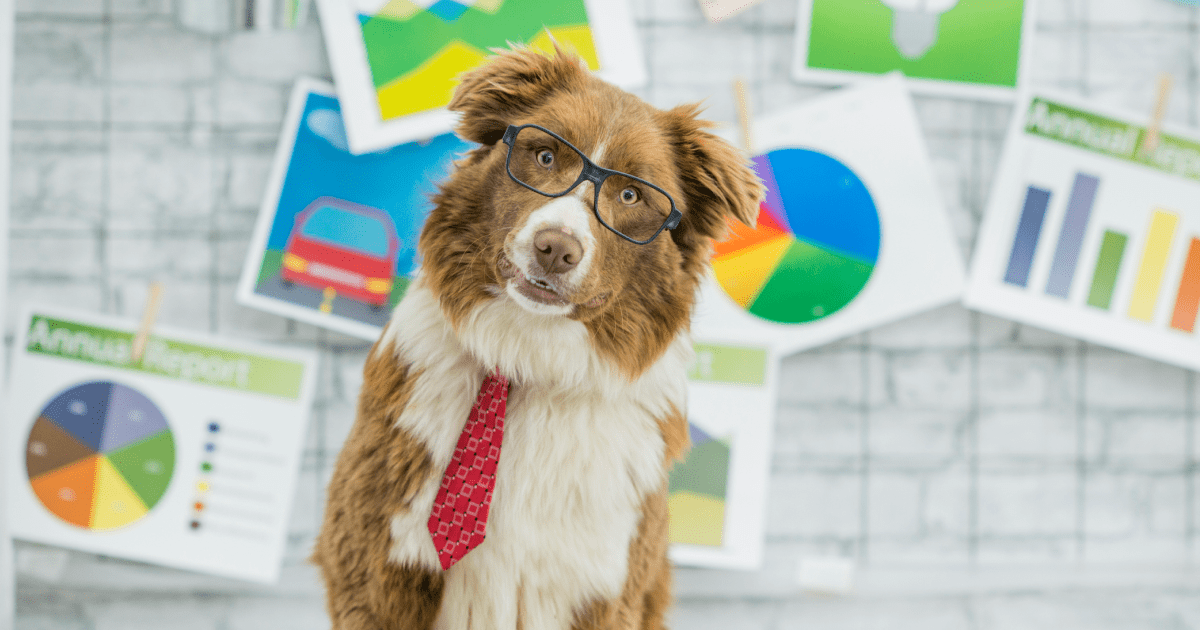 Current Trends Will Fuel Future Growth for Pet Stores FieldStack